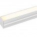 LD XL 2